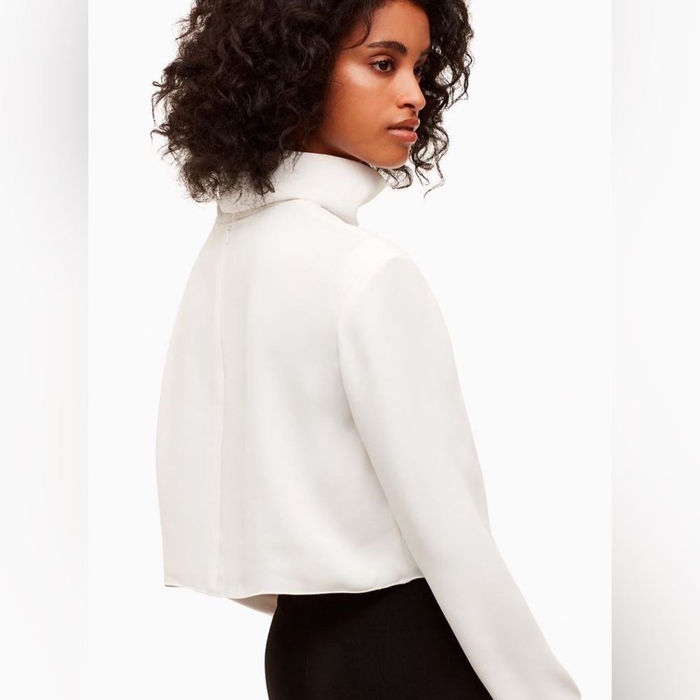 Babaton Rembrandt Blouse | Aritzia